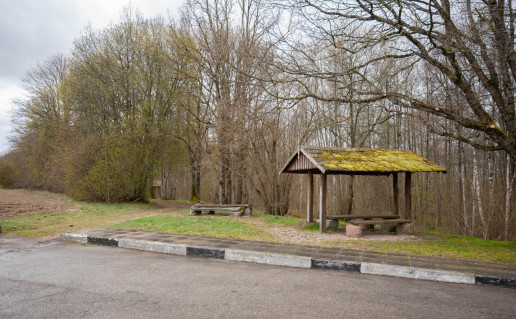 34_Šilalės pažintinis takas 1 (3).jpg